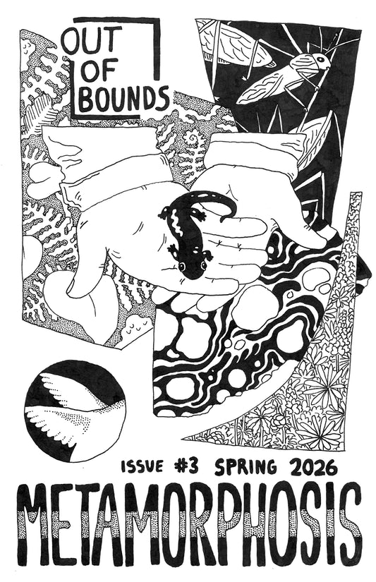 Issue Three PDF Edition
